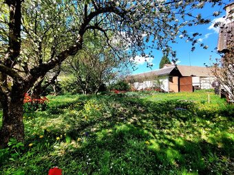 Prodej RD - chalupy 150 m2, pozemek 558 m2, Sovenice - 19