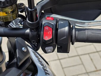 Triumph Tiger 900 GT PRO, původ ČR, 3x kufr, padací rámy,DPH - 19