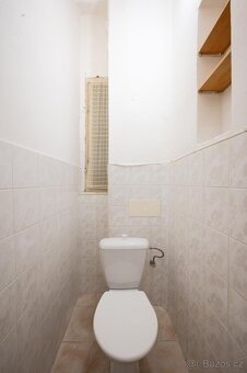 Příjemný byt 1+1 s výhledem do zeleného vnitrobloku | Bubene - 19