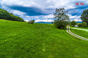 Prodej podílu 1/3 louky, Nový Bor - Chotovice - 19