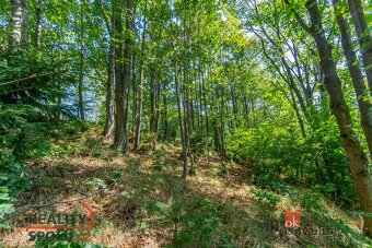 Prodej, pozemky/bydlení, 1161 m2, Hraničná, 46811 Janov nad  - 19