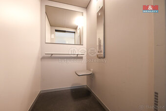 Pronájem bytu 2+kk, 53 m², Plzeň, ul. U Borských kasáren - 19