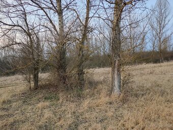 Pozemek u jezera Pístník, přes 1,8 ha, blízko dálnice D8... - 19