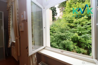 Lukrativní bydlení v Zahradní ulici v Karlových Varech - 19