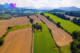 Prodej pozemků se stavbou, Janovice - 19