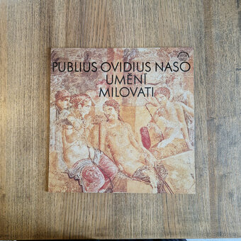 21x LP vinyl, české, různé žánry #3 - 19