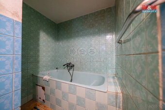 Prodej rodinného domu, 140 m², pozemek 2710 m², Dalečín - 19