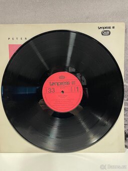 Gramofonové desky č.5 cena za 1 kus - 19