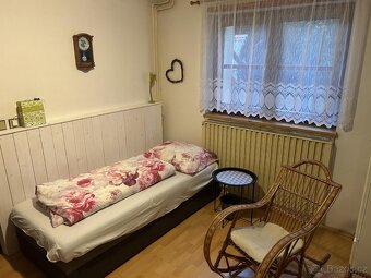Prodej rodinného vícegeneračního domu v obci Jevišovka - 19
