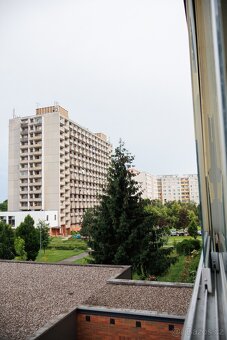Byt 1+kk v Hradci Králové po rekonstrukci - 19