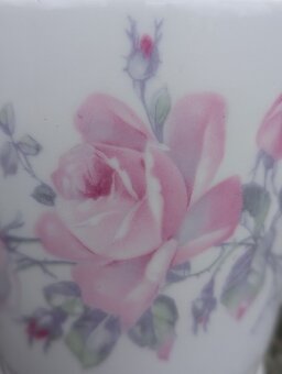 Artdeco konvice a mléčenka,Czecho-Slovakia, růže. - 19