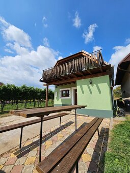 Prodej kouzelného vinného sklepa v srdci vinic - 19