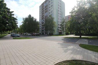 Pronájem bytu 3+1 Pardubice Polabiny - 19