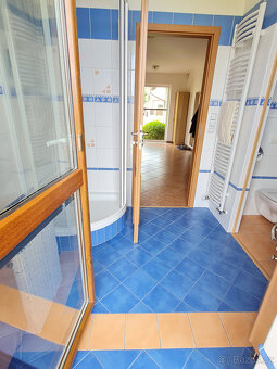 Ihned k nastĕhováni rodinný  dům 245 m², pozemek 1 547 m² - 19