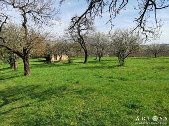 Prodej velké zahrady s chatkou, celkem 2 257 m2 - Ponětovice - 19
