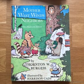 Knihy pro mládež v AJ a dětské knihy v NJ - 19