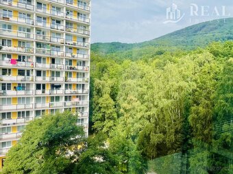 Prodej, byt 3+1, 80 m2, DV, Osek, ul. Hrdlovská - 19