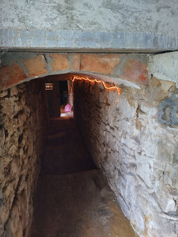 RD s pozemkem 6175m2 Závišice - 19