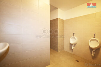 Pronájem ubytovacího zařízení, 300 m², Dalovice, Botanická - 19