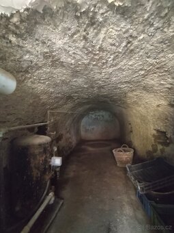 PROSTORY K PODNIKÁNÍ I BYDLENÍ V PAVLICÍCH (OKR. ZNOJMO) - 19