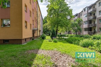 Prodej, byt 2+kk, Ostrava-Zábřeh, ul. Zajcevova, ev.č. 1504 - 19