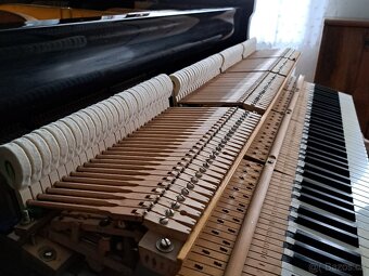 Klavír - křídlo August Förster - 19