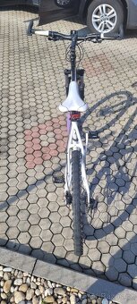 Kolo Author mystic mtb XC - 19