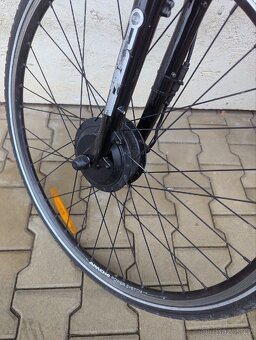 Elektrokolo Author - 19