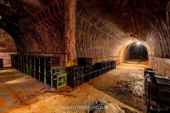 Prodej věhlasné nemovitosti Malovaného sklepa v Šatově, mezi - 19