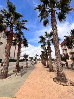 Byt - Orihuela - 19