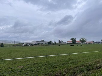 HŘÍBÁRNA NA EDENU - 19