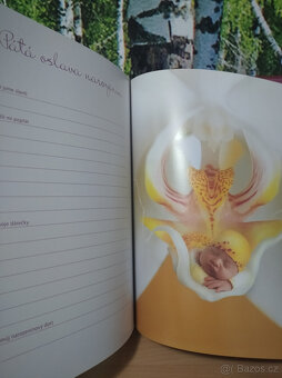 Upomínkové knihy Mých prvních pět let NOVÉ - 19