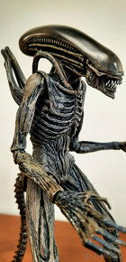 Figurka NECA Alien Covenant Protomorph - Xenomorph - 19