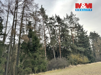 Prodej chalupy, 3642 m², Trhový Štěpánov, obec Dálkovice - 19