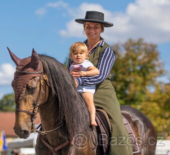 Extra Lusitano kobyla - 19