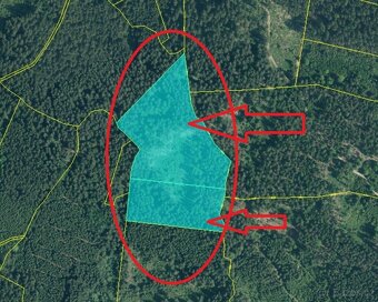 Prodám lesní pozemky v k.ú. Nicov - 19