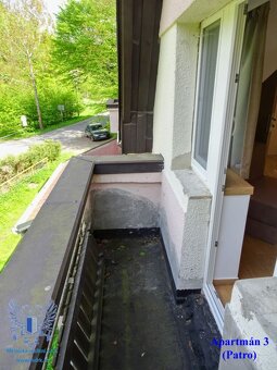 Prodej apartmánové domu Kokořínský důl - 19