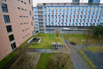 Pronájem bytu 2+kk, Klatovská, Ponava, 55 m2 - 19