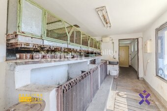 Prodej rodinného domu 5+1 333 m2, pozemek 2 555 m2 - Bzenec, - 19