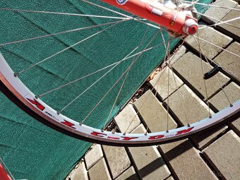 Silniční kolo - 19