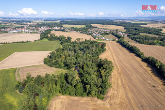 Prodej lesa, 2252 m², Horka nad Moravou - 19