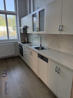 Pronájem bytu 2+1 58 m2 - 19