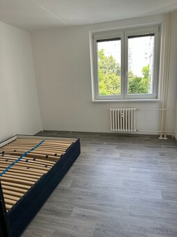 Pronajmu byt 3+1 Bohunice ul. Rolnická - 19