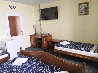 Stylový penzion s krásnou restaurací Přimda u Rozvadova - 19