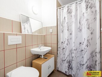 Velké Pavlovice - RD vícegenerační, zahrada, rekonstrukce – - 19