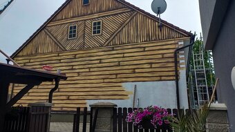 Nástěnné malby - 19