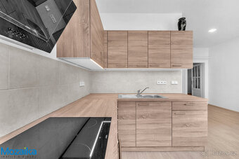 Pronájem prostorného, světlého bytu 3+1 s komorou, 100 m², E - 19