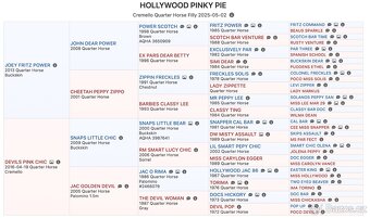 Cremello klisnička s odznaky s reining/cutting původem - 19