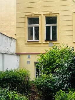 Zrekonstruované 3+1 na Letné - 19