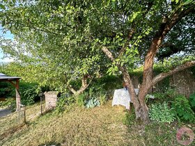 Chata se zahradou v zahrádkářské kolonii Vinice - 19